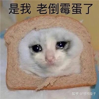 社死时刻发生时好用的表情包 - 知乎