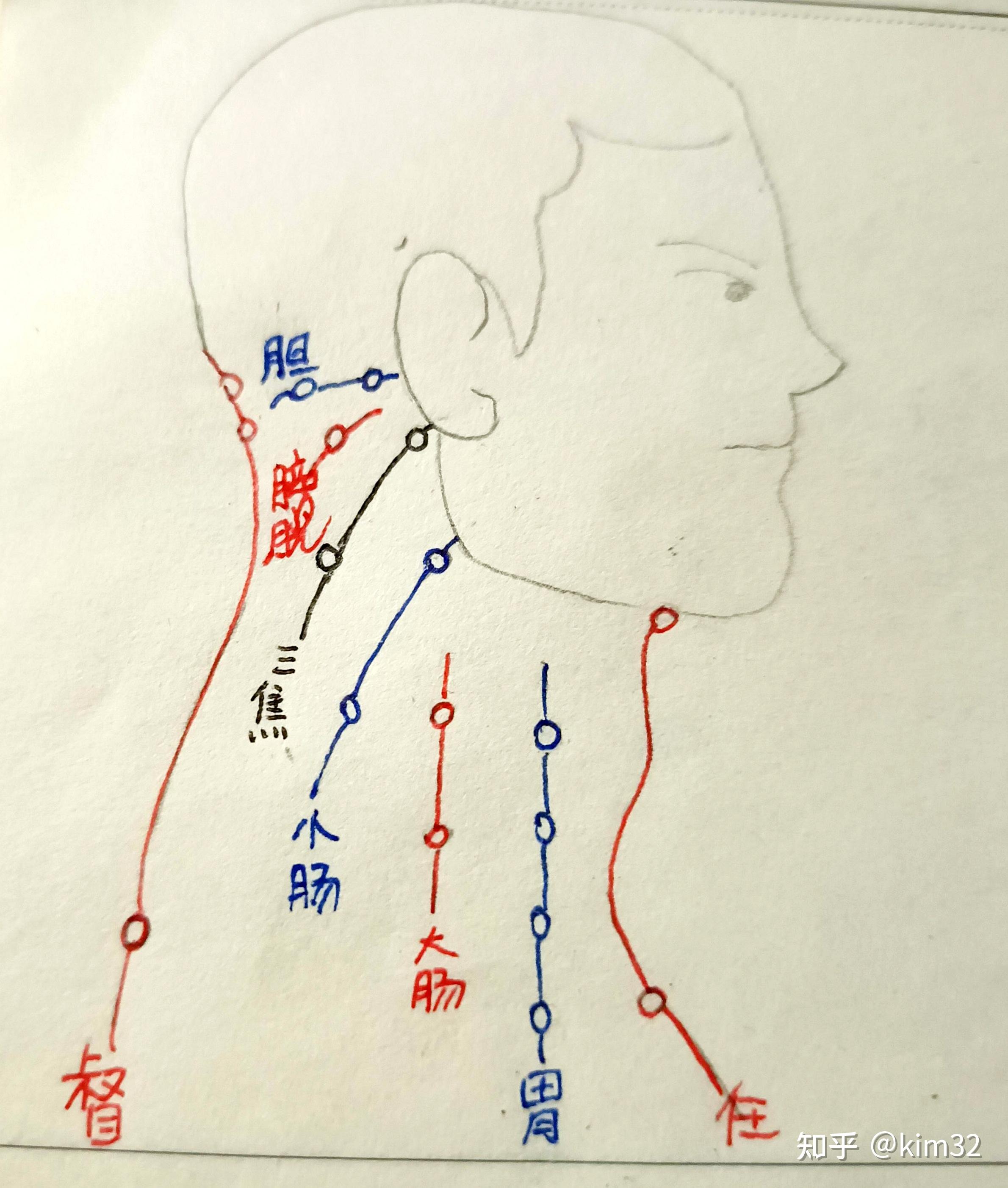 一天记住:颈部18穴(二十三) - 知乎