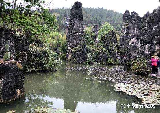 黄果树大瀑布细品-黄果树的瀑布短文答案