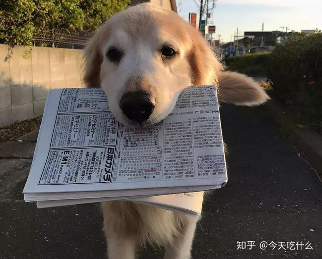 在你情绪不好,心情低落的时候要么会想办法逗你开心,要么乖巧地静静地