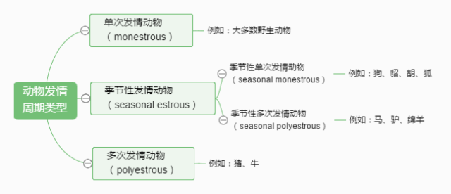 认识马的发情周期 - 知乎