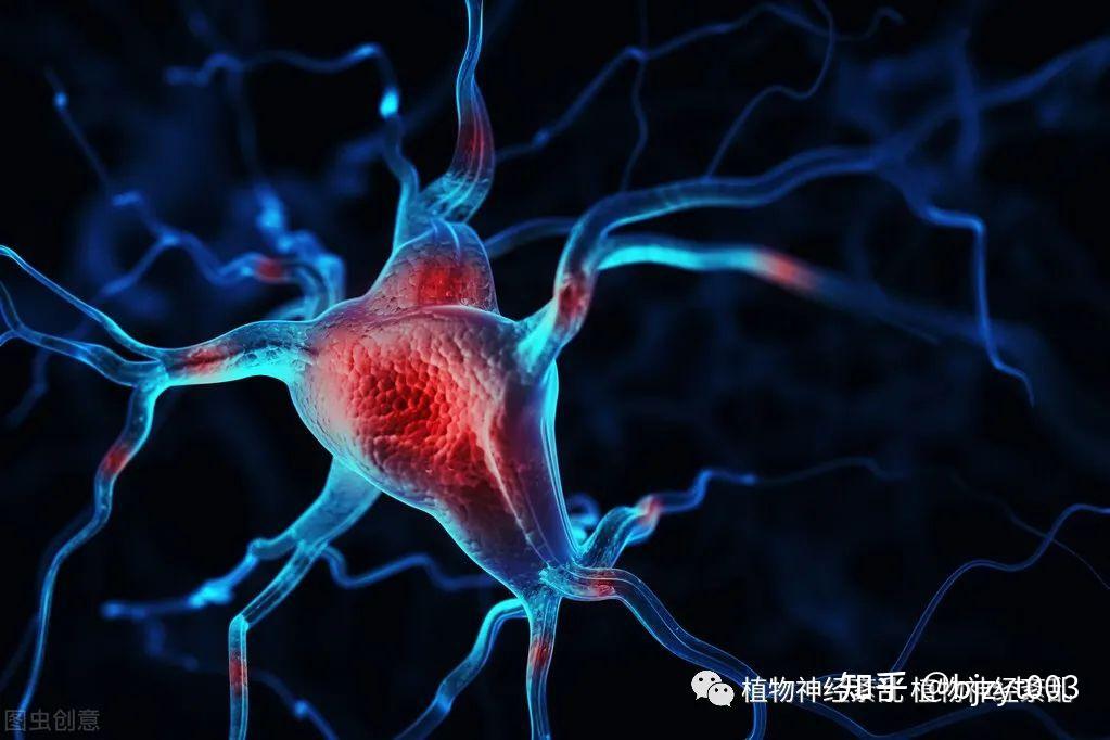 焦虑症,抑郁症同植物神经紊乱有什么区别?今天带你走出盲区 - 知乎