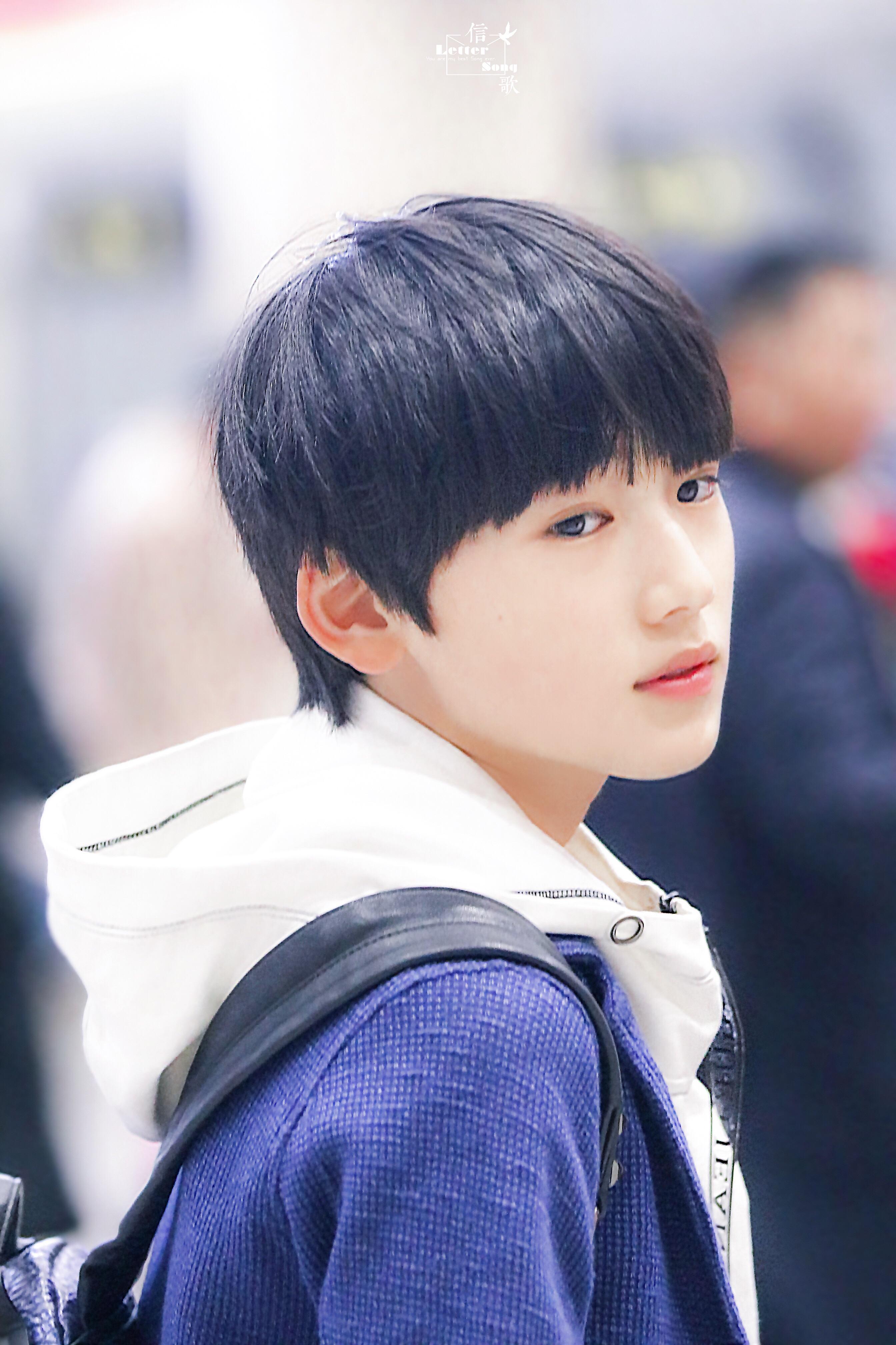 如何评价屠夫二代和易安音乐社成员长相以及以