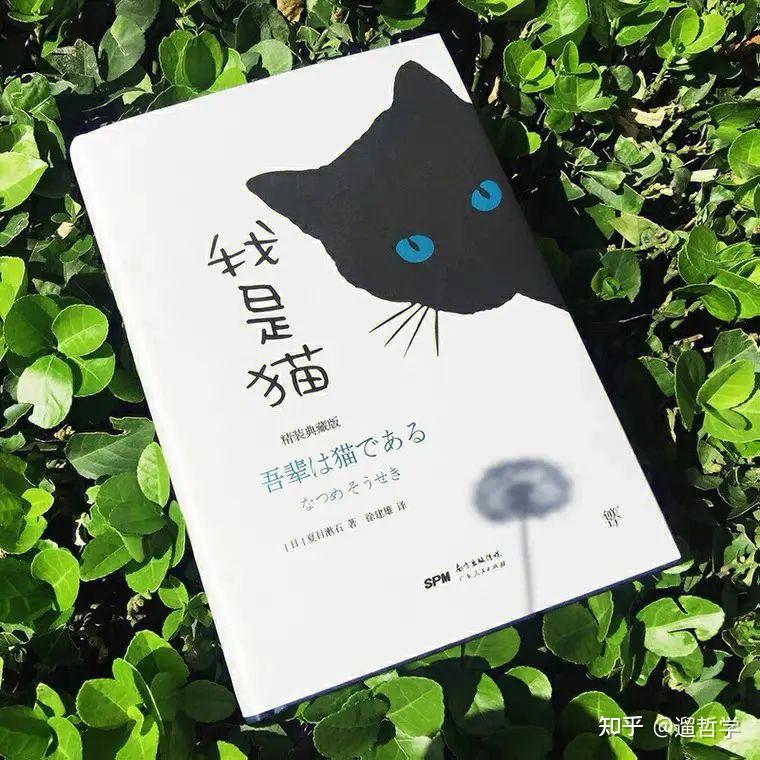 《我是猫》从荒诞对话中窥见人性之虚伪 - 知乎