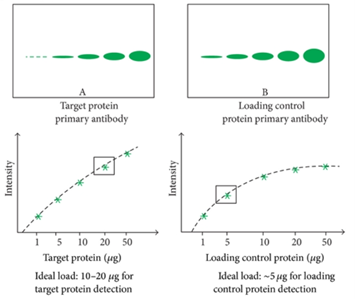 WB的无敌战神之路——WB的内参选择 - 知乎