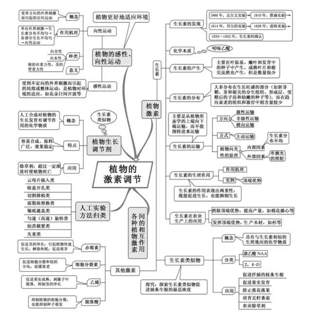 v2-6909fc3e2c6da7d13c749742183beaaf_r.jpg