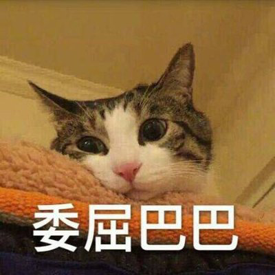 什么都不必说 v2-690b47e39f772338392c93ea9414cd63_b.jpg