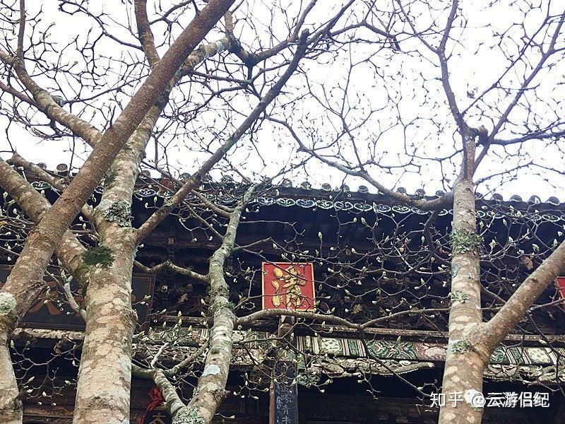 巍山——古城里难得的清流 - 知乎