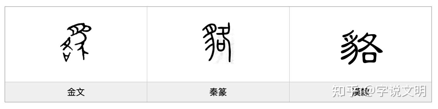 貉——每日一字·豸部字 - 知乎