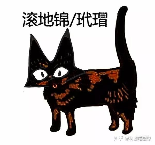 最后一种花色的猫叫吼彩霞,一种头上有着玳瑁花色的猫,像带了顶帽子.