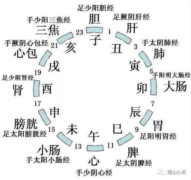 十二正经与天干地支(针灸05)