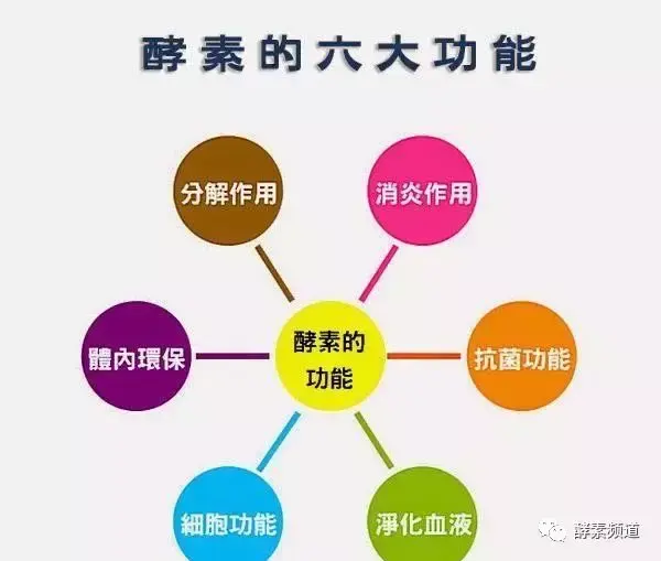 酵素与排毒
