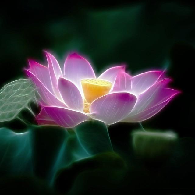 生命的意义是成为自己 v2-693f71e25bf9c857684840fbb62be83f_r.jpg