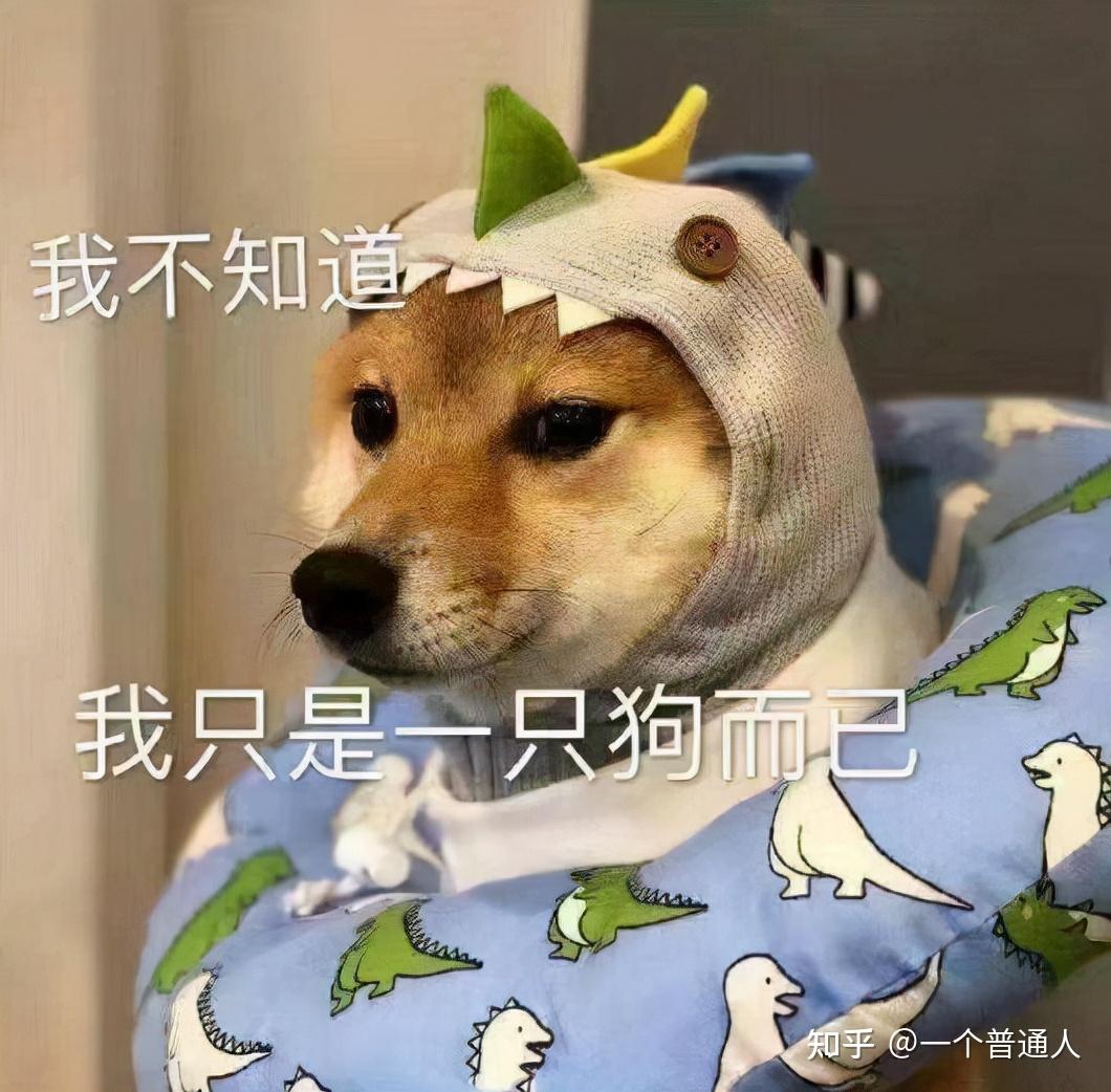 “汪汪汪”!狗狗不同的叫声代表什么,你知道吗? - 知乎