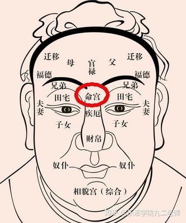 中国式人相学入門 周易 相学入門 中国占い 中国古典文学 中国語版書籍&frasl;周易相学入\u0026#38376