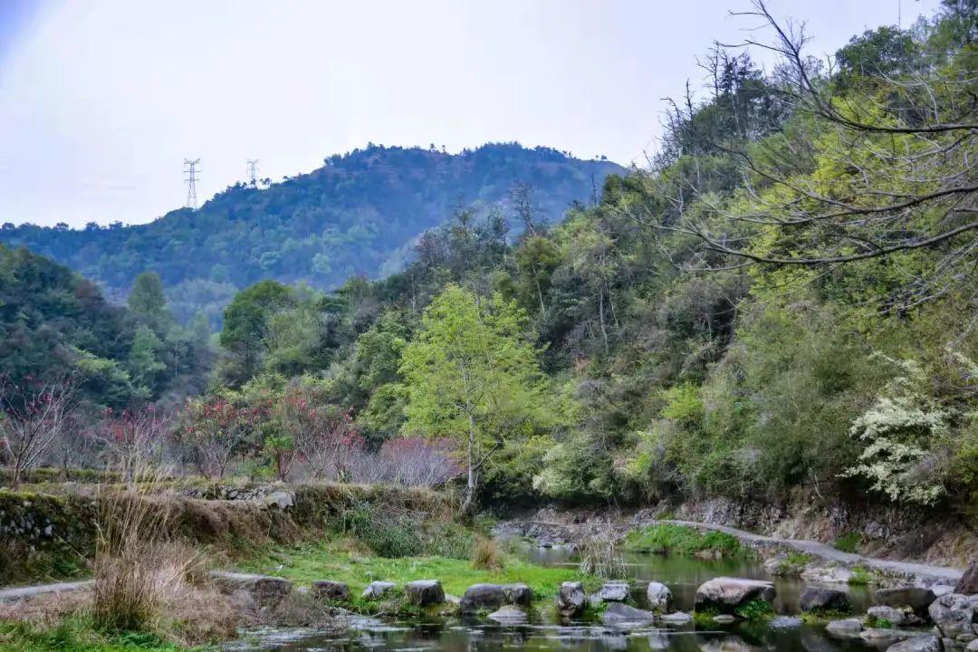 岭根村图片