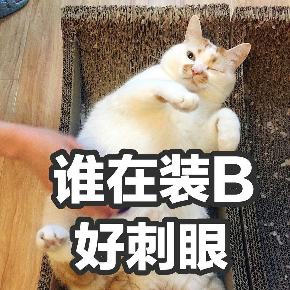 西成高铁(客专)建成运营后对陕西(西安)和四川