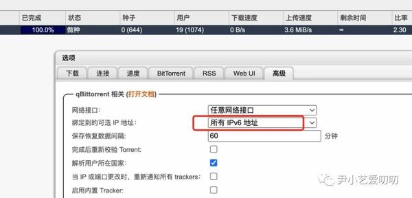  docker qbittorrent ipv6 
