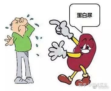 壁虎医生 一件小事看出你的肾脏是否健康 知乎
