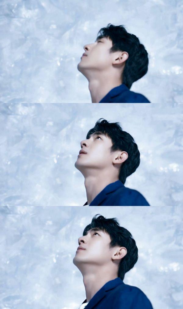 如何评价林更新