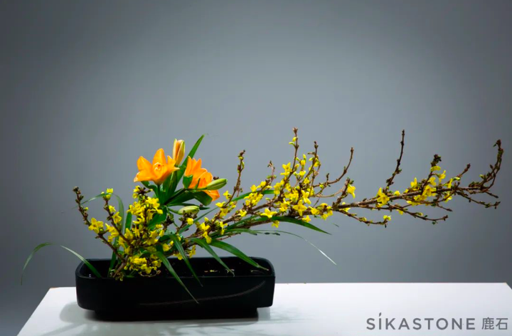 小原流教授证书到底值多少钱 知乎