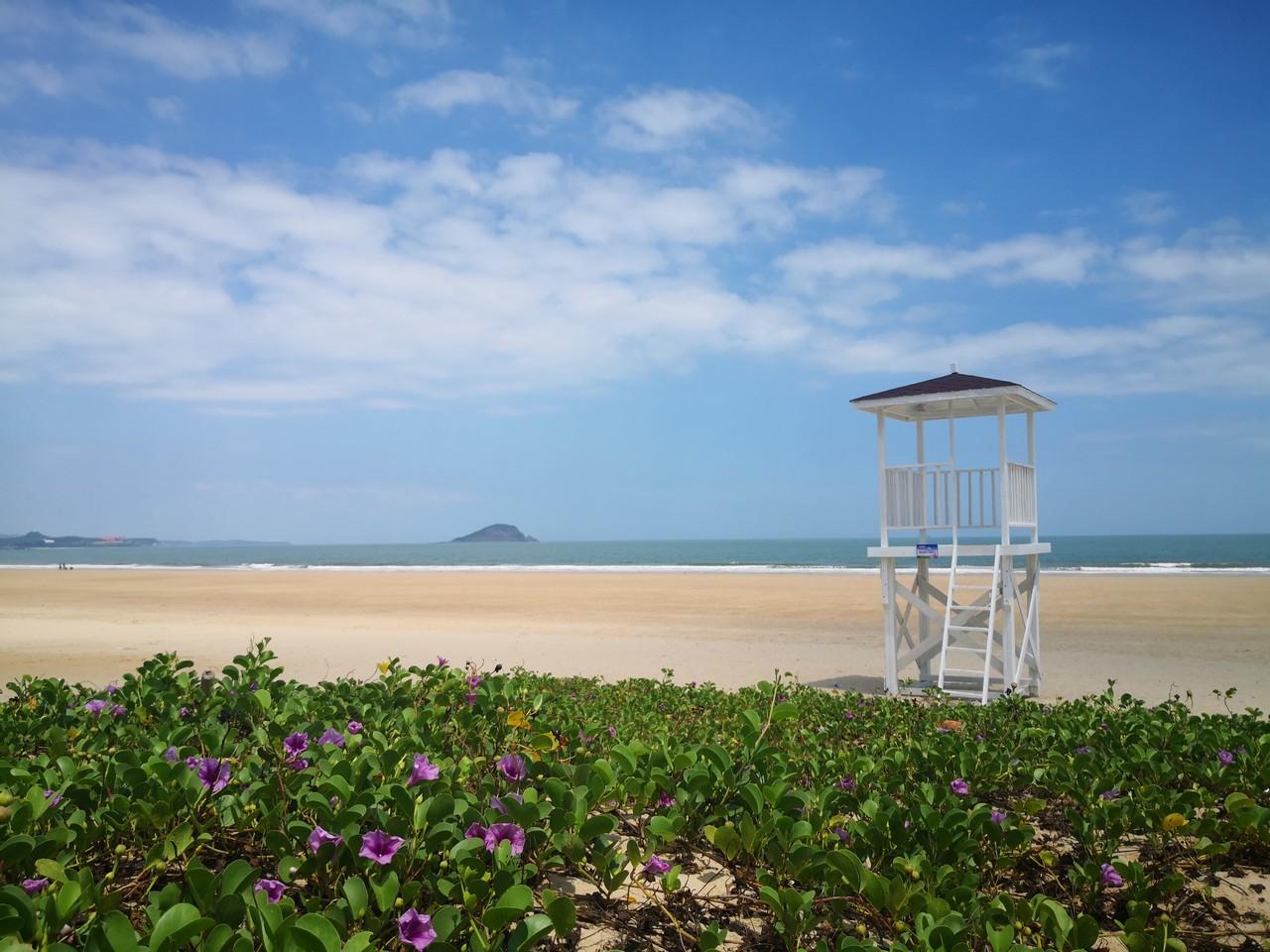 写在2019年末丨香山湾的海都知道