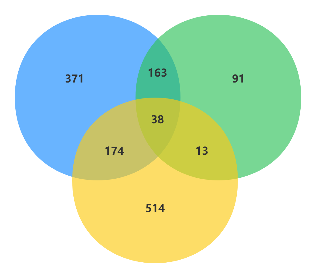 韦恩图 三个集合图片