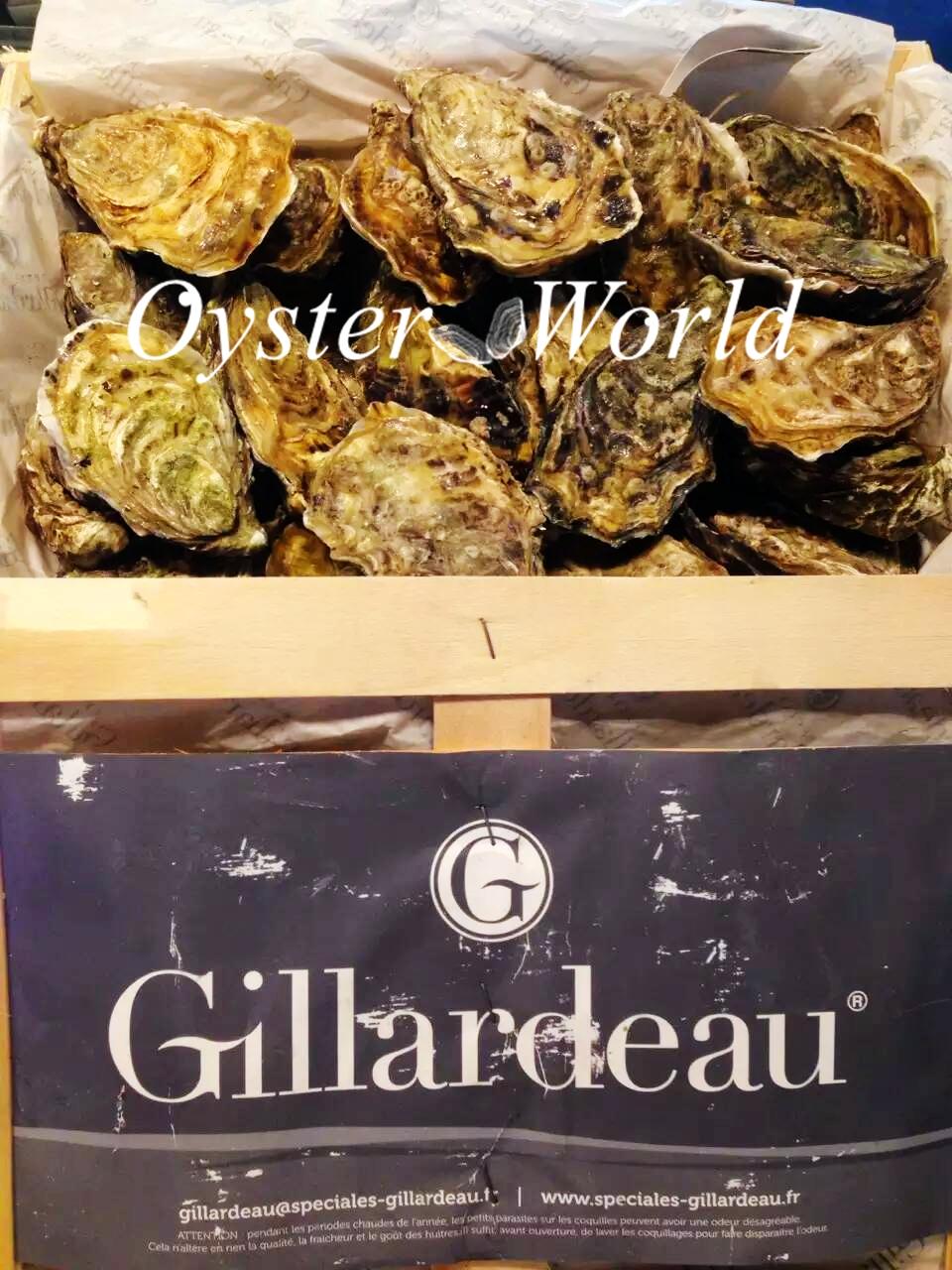 oyster·world 法國·吉拉多·生蠔