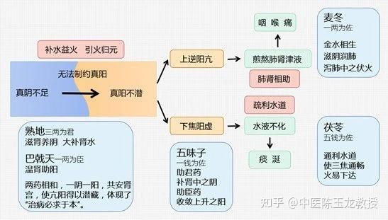 给大家介绍一个治"虚火"的名方,叫做引火汤,出自清代陈士铎的《辨证录