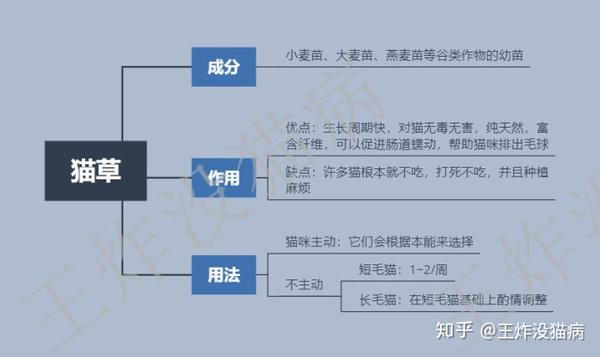 猫草 化毛膏和化毛片的区别及用法 知乎