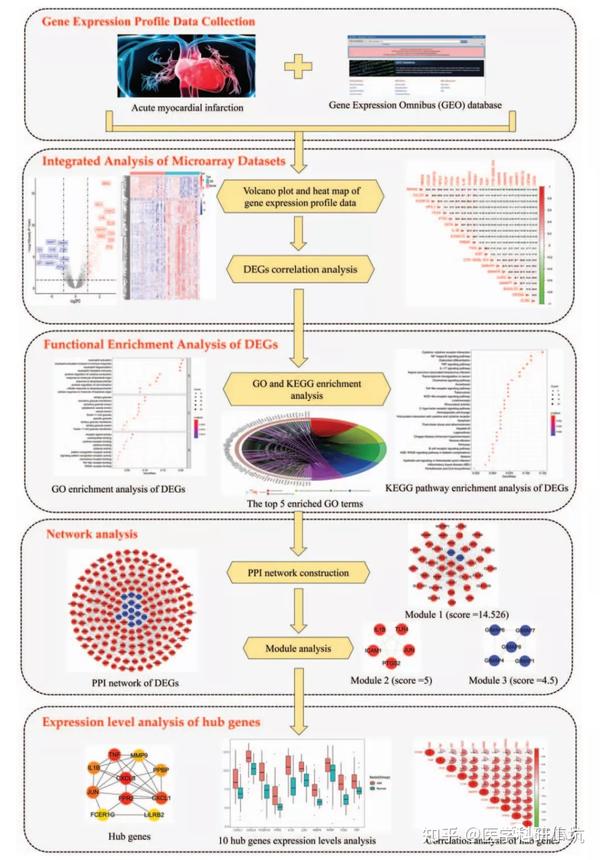 一文读懂基因富集分析：从小白到SCI - 知乎