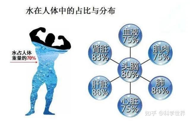 从科学角度分析，冻死和热死，哪一种更好受一些？ - 知乎