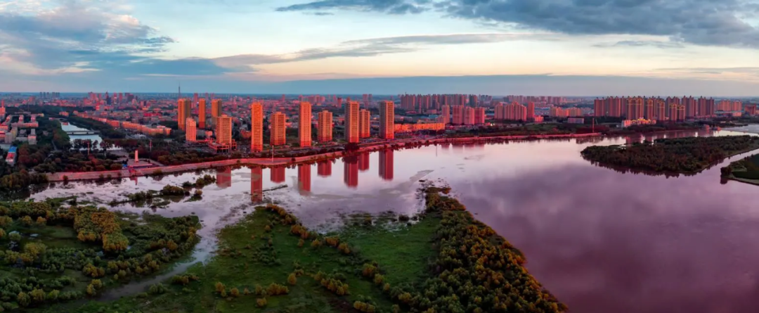 2020龙江百大项目齐齐哈尔市重点项目名单出炉