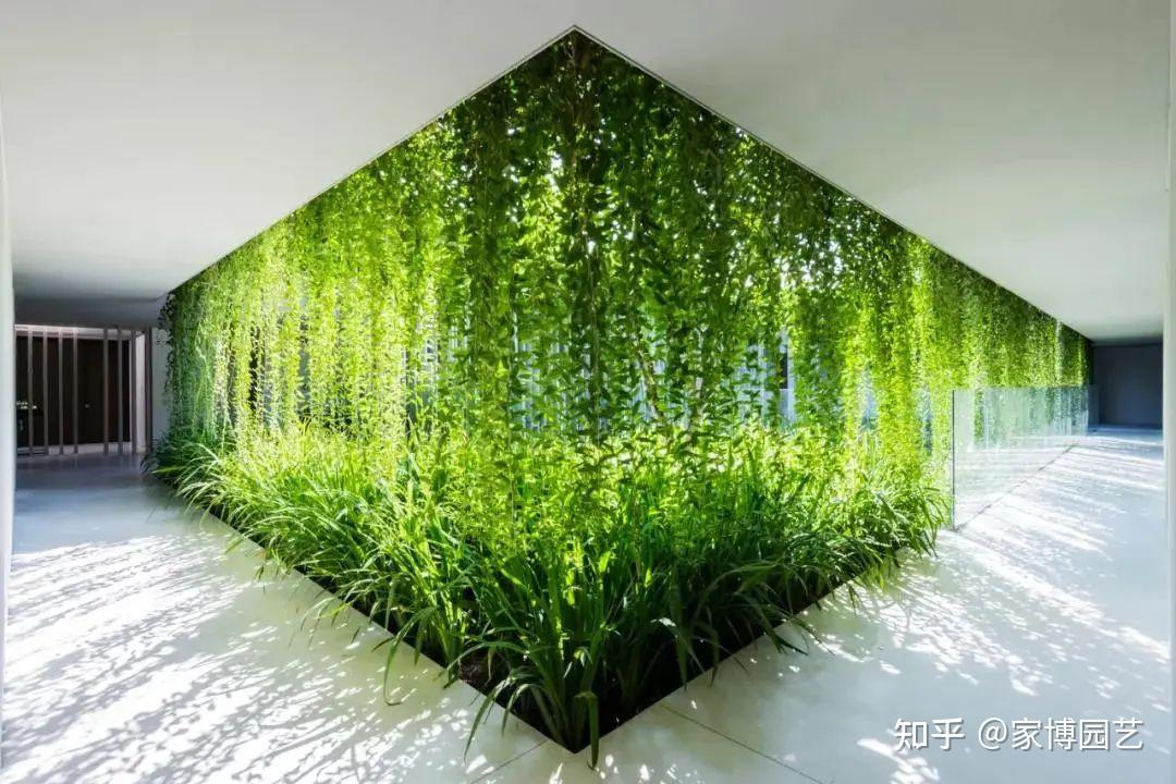 家博园艺|在室内与自然相遇——关于室内空间造景 - 知乎