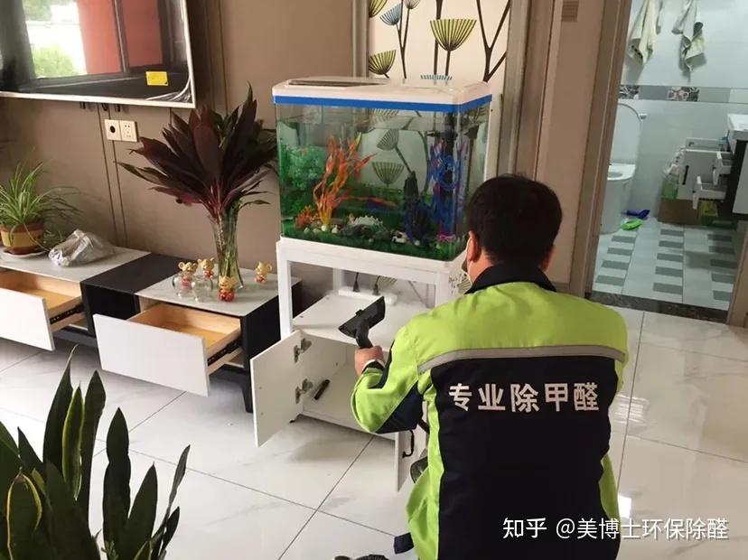 甲醛治理，你被智商税了吗？ - 知乎
