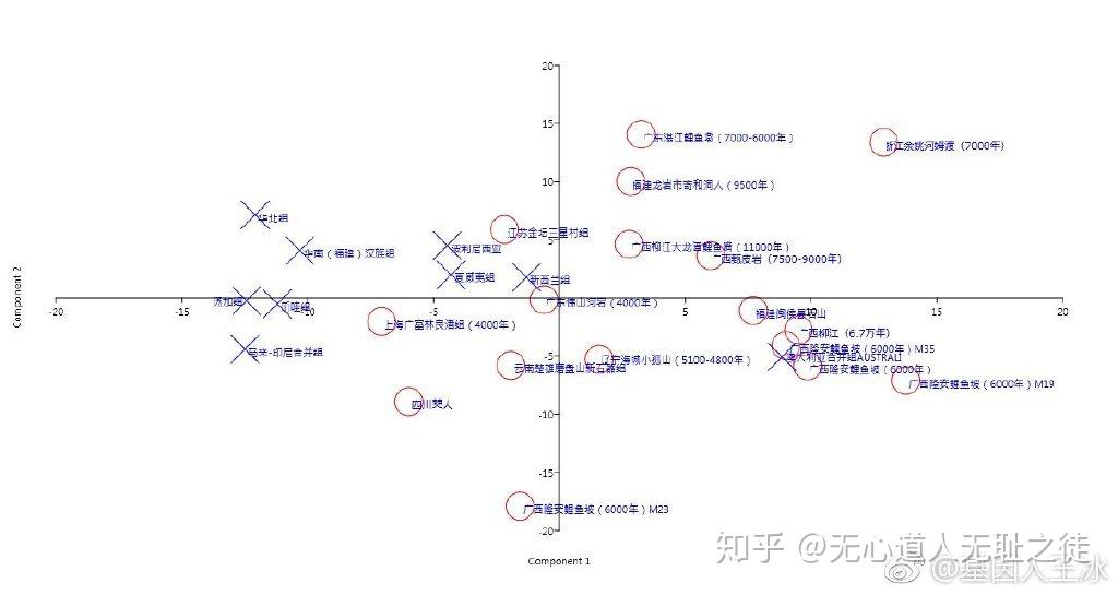 传统性人口_人口普查图片(3)