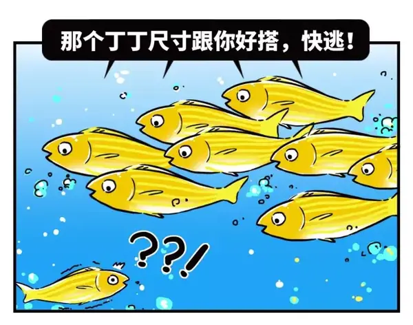 符合尺寸的鱼鳔