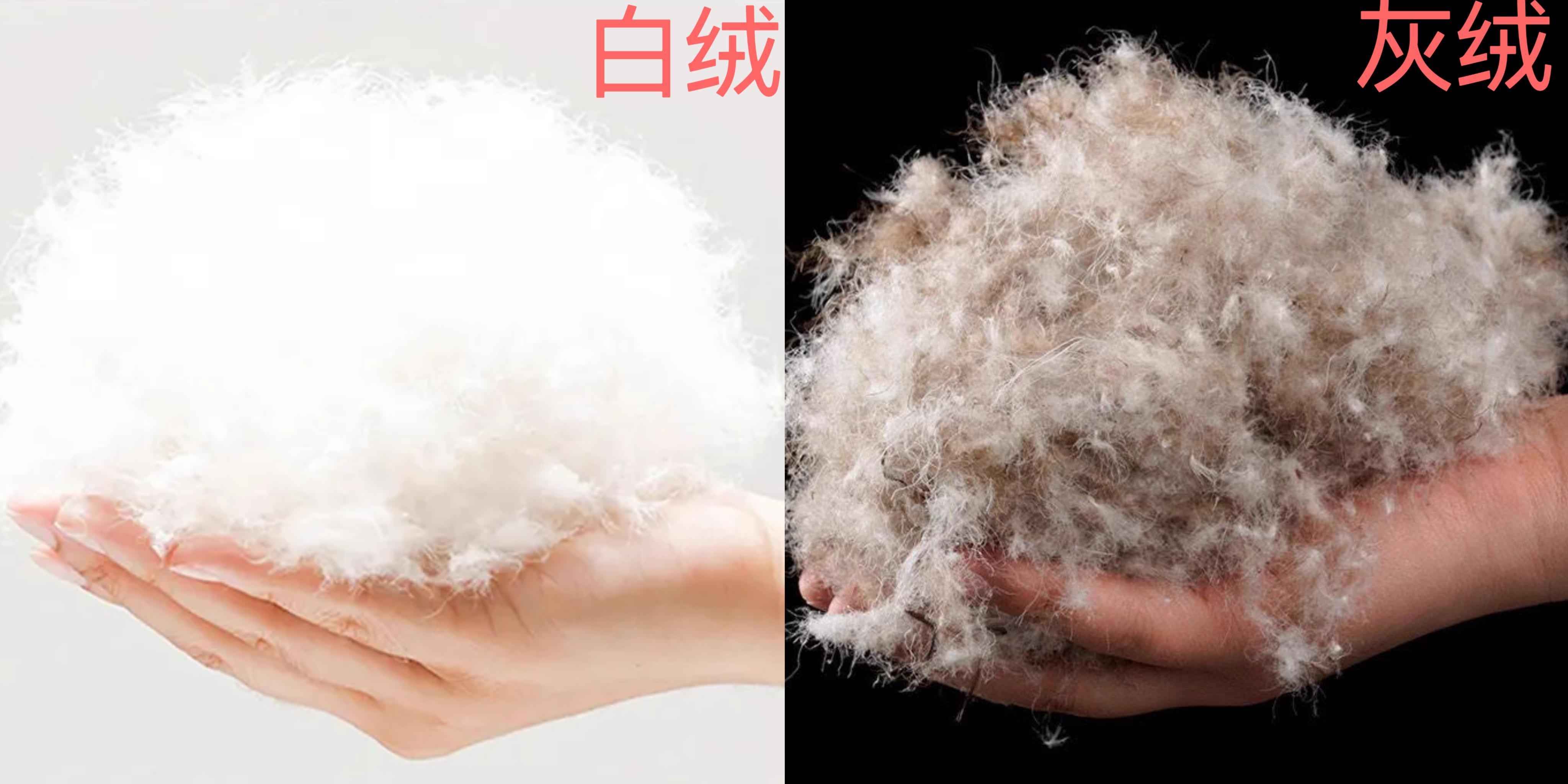 如何挑选羽绒服?(鸭绒鹅绒 充绒量 绒子含量 蓬松度) - 知乎