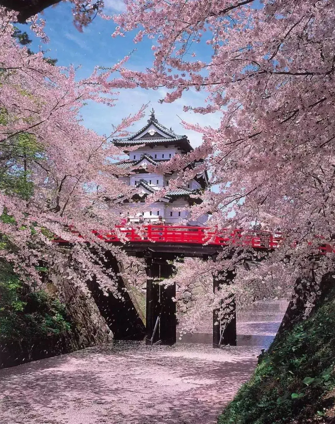 日本京都秋景图片素材_免费下载_jpg图片格式_高清图片500451527_摄图网