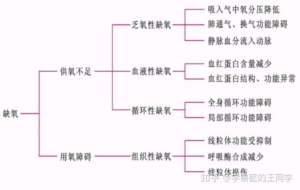 血液性缺氧图片