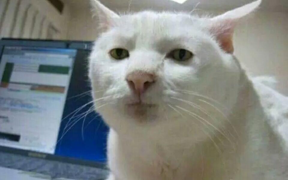 想做主播的弟弟面临中考却想分流怎么办?