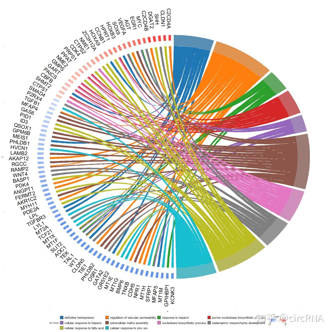生信高级图大赏之弦图 - 知乎