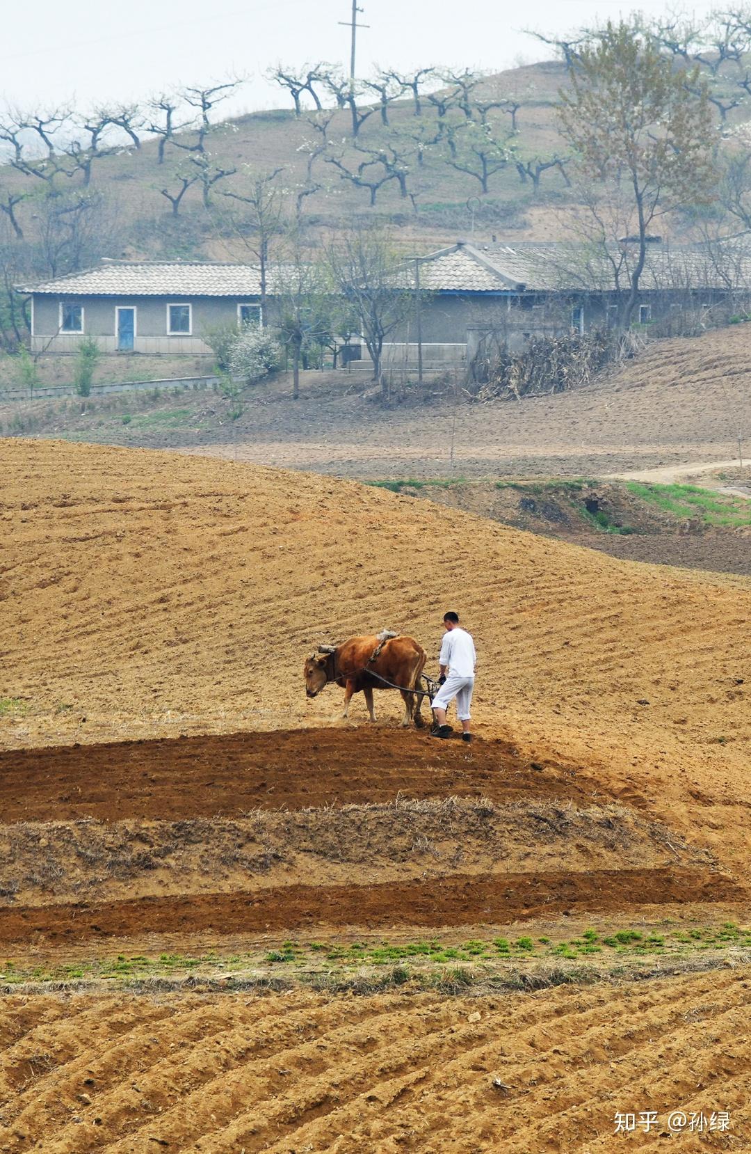 旅游之后：探寻朝鲜的农村与城市有什么不一样 - 知乎