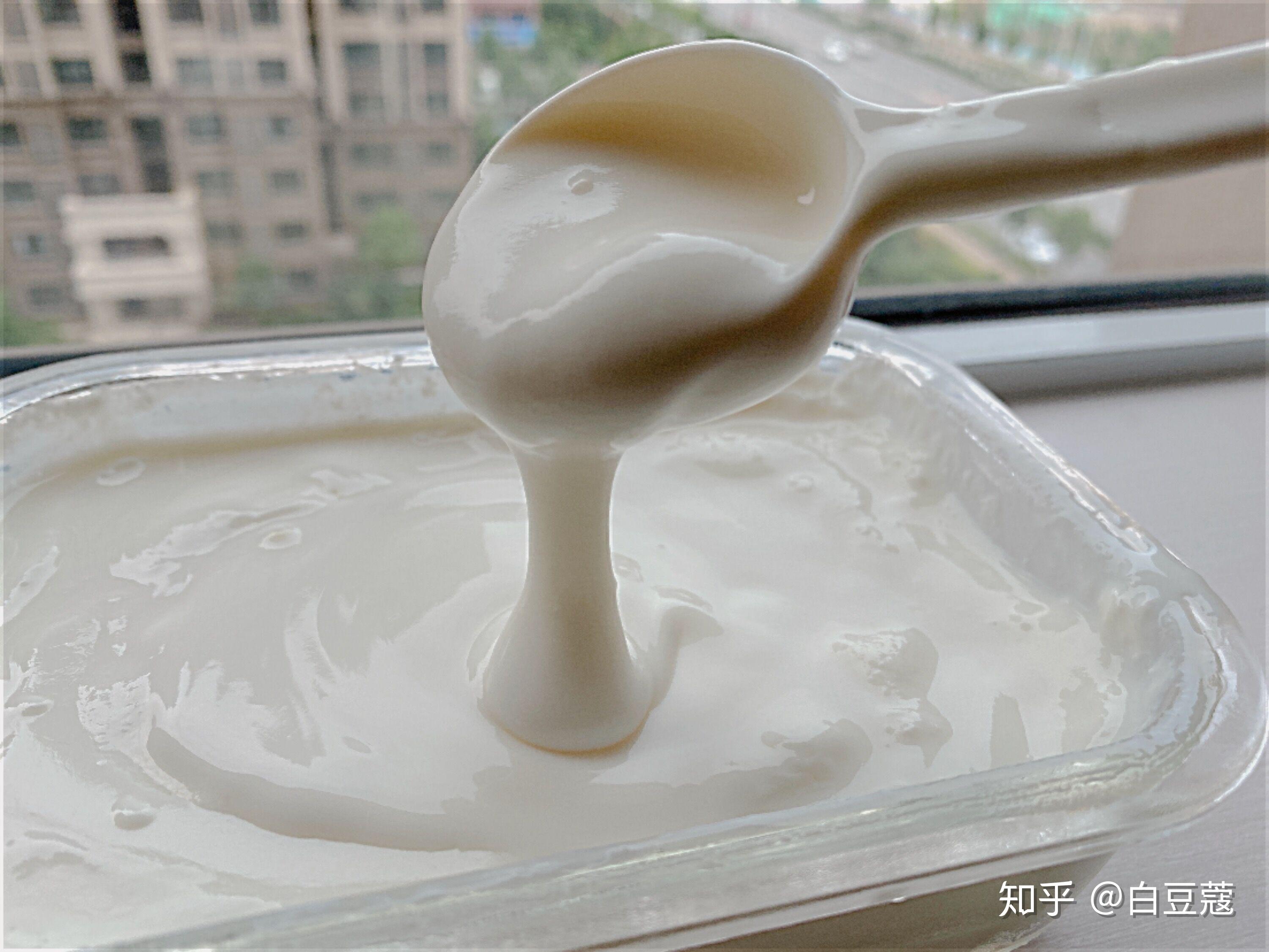 【Jelly】用闽南语手把手教你做酸奶|不用酸奶机做酸奶_哔哩哔哩_bilibili