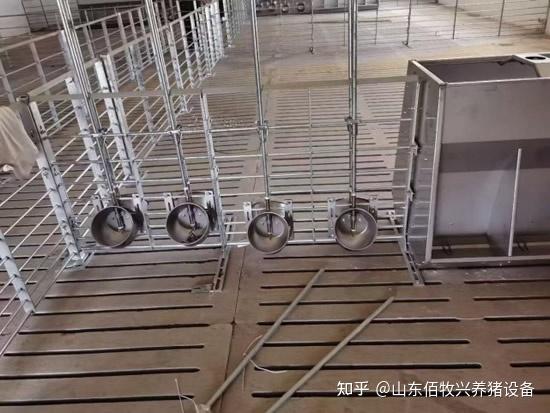猪用饮水碗的安装高度及数量介绍