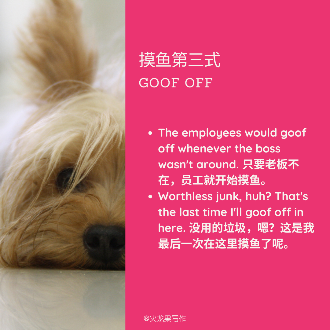 火龙果写作习语站 | 《摸鱼学导论》中的"摸鱼"怎么说 - 知乎