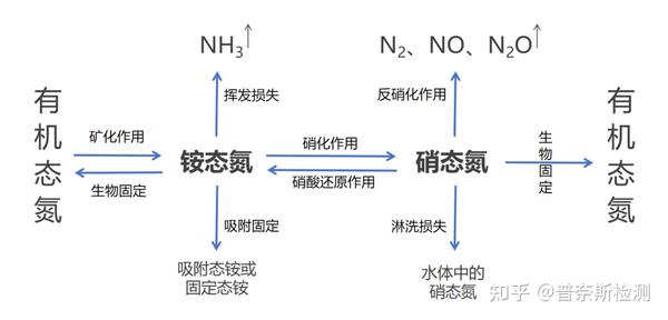 土壤检测之氮组分 - 知乎