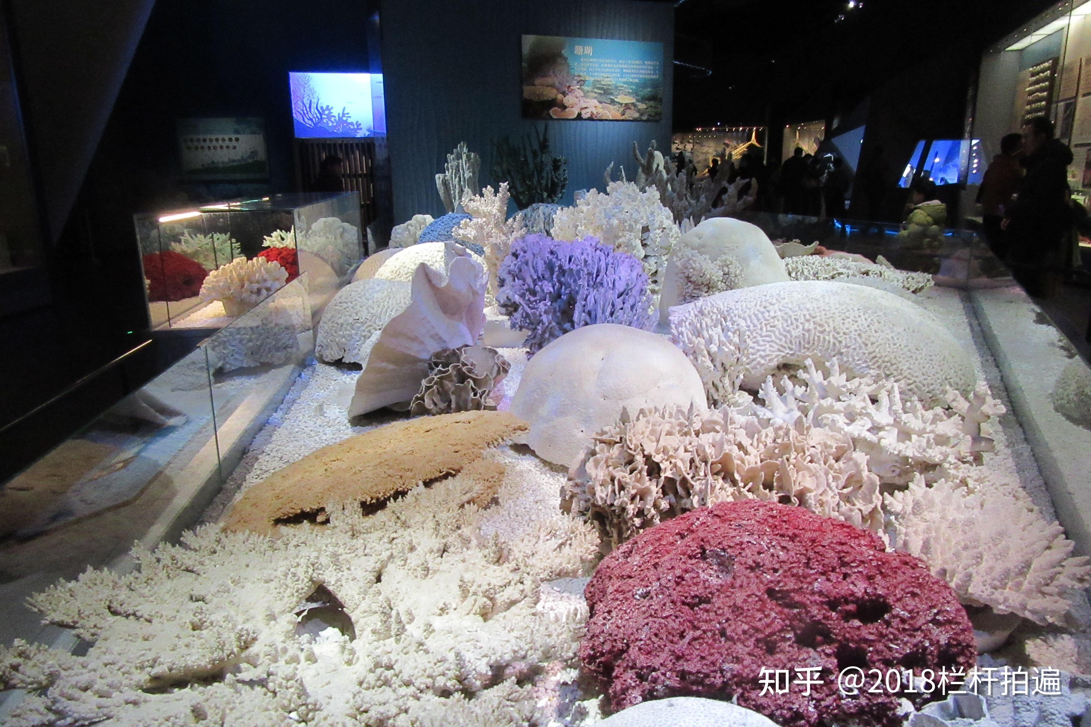 天津:打卡天津·国家海洋博物馆(2)