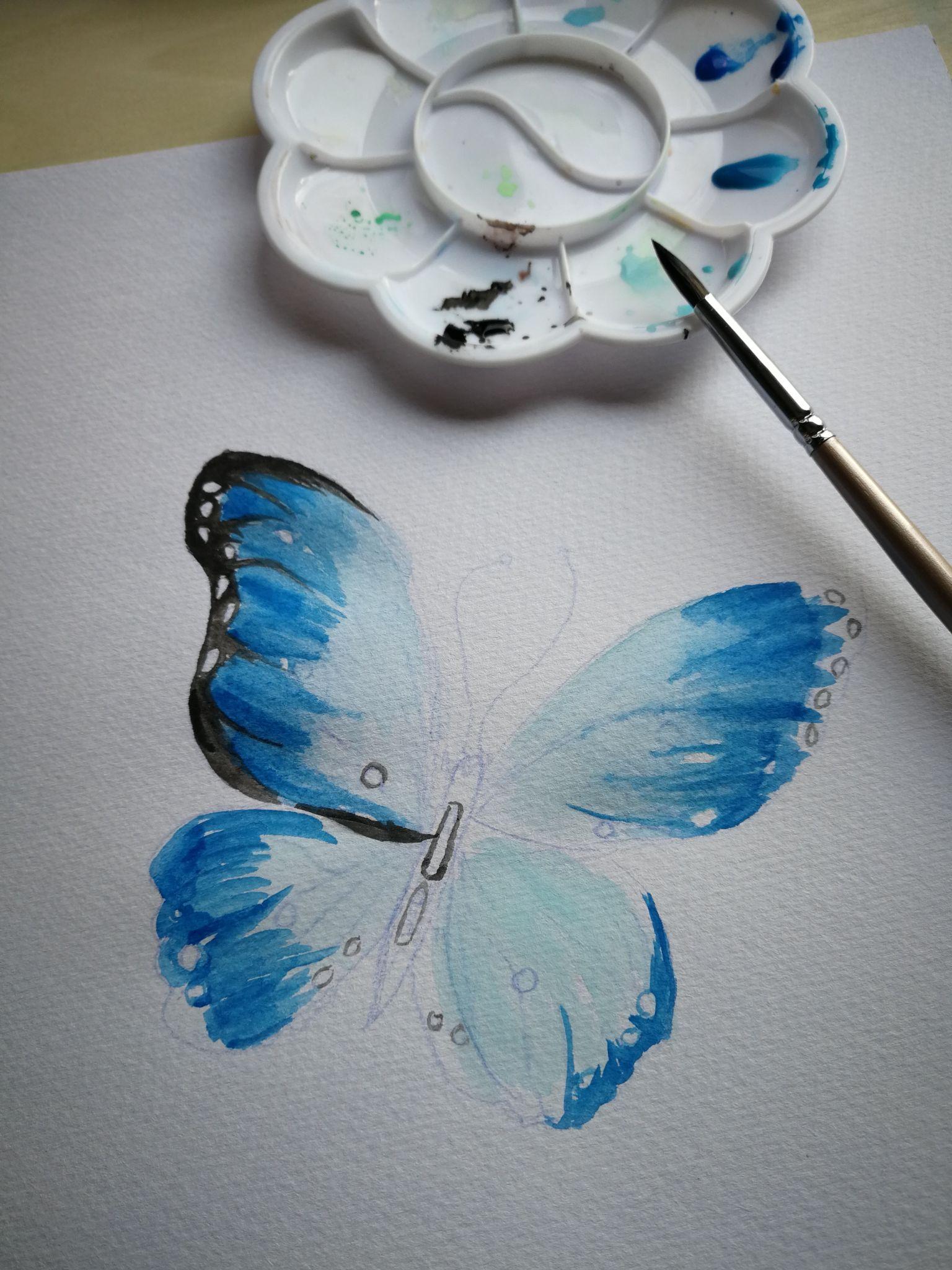 蝴蝶——水彩画(初学者) - 知乎