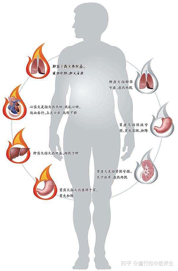 身体每一个部分的阴阳都必须保持平衡,一旦某一个部位的阴阳失调了